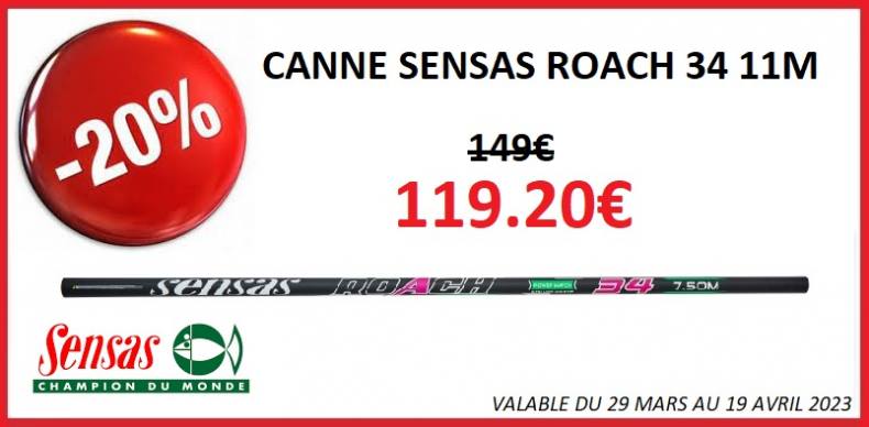 roach 34 11m